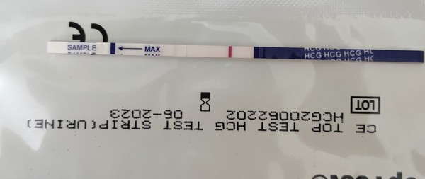 May 2021 TTC Bus :-) Thread 2
