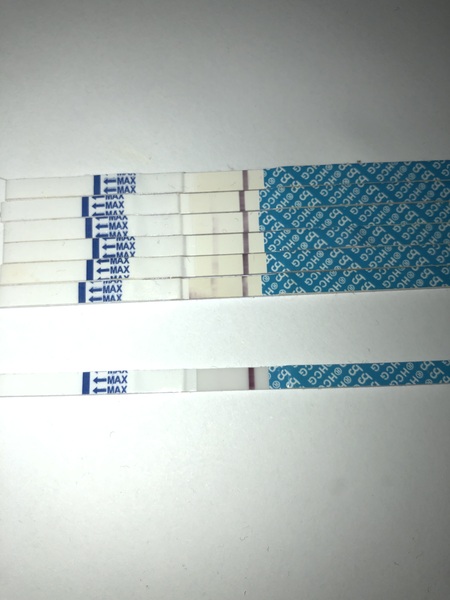 Bfp now bfn within 2 urine trips