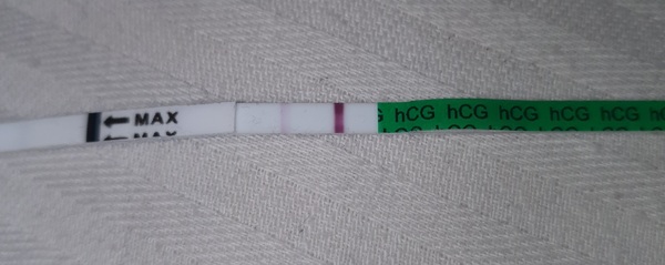 TTC After Chemical Pregnancy/Early MC 2