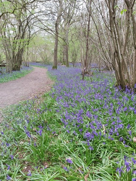 Don't say where you live but do you have a 'secret' place that only locals know about?