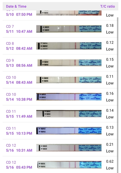 Ovulation Tests