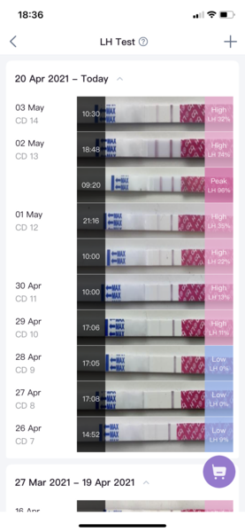 Trying to conceive baby No 1 over 40
