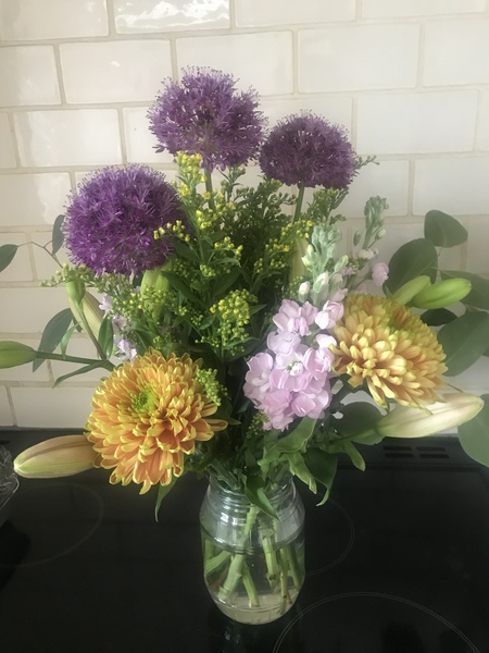 Fancy a free bunch of gorgeous flowers with Freddie’s flowers ?