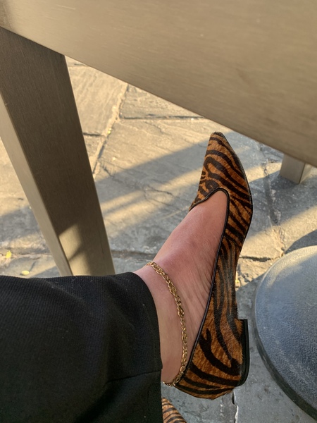 A New Purchase You are Excited About