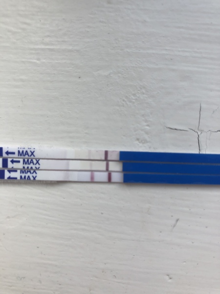 FRER lighter