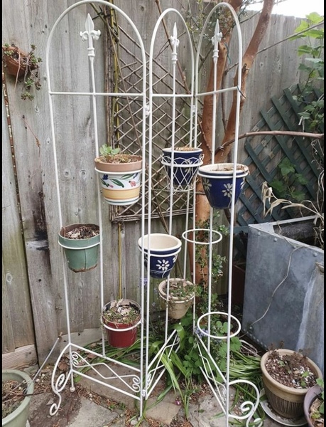 What would you plant in this to create more privacy? (Photo attached)