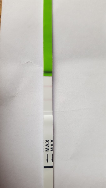 Ovulation test.. positive..?