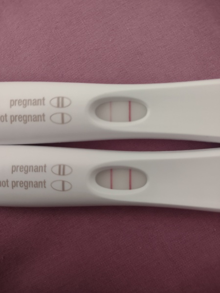 Late Jan - all of Feb 2022