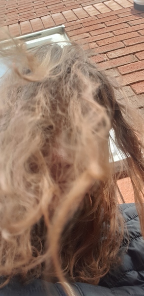 Come and tell me your dull and unexciting news 15: Calmly through the day