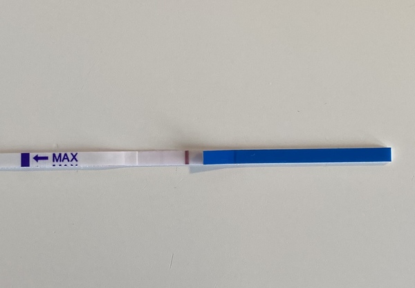 May 2021 TTC Bus :-) Thread 2