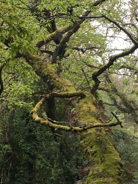 Any Witches Here? Part 14.