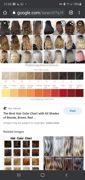 Hairdressers or hair experts - colour advice?