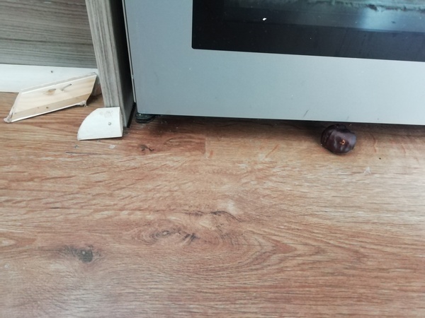 My kitchen is haunted
