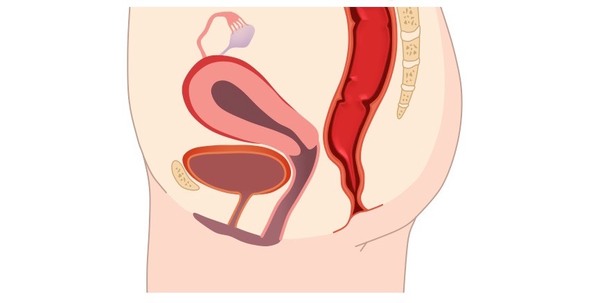 Period from Urethra and clear liquid from urethra