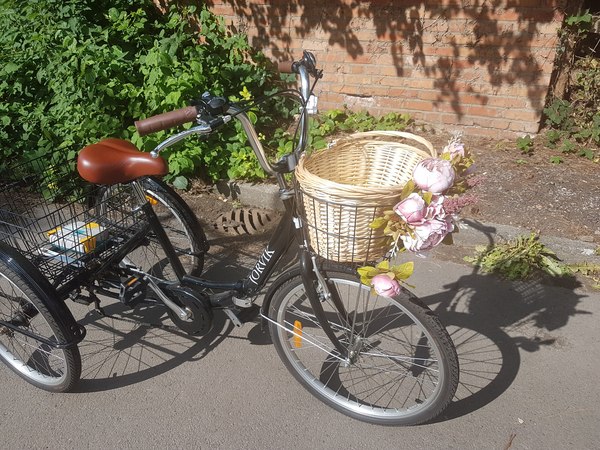 Is there something you want but just can’t bear to buy?