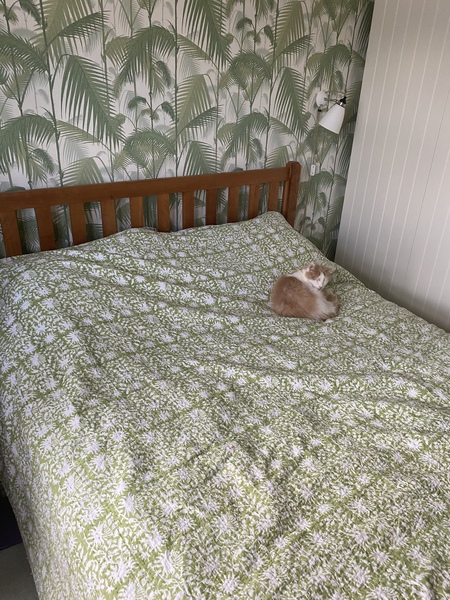 Wallpaper feature wall - Yay or Nay?