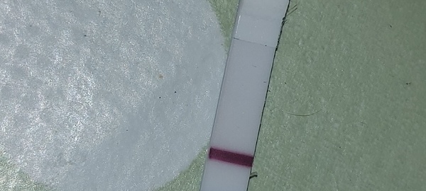 Hey