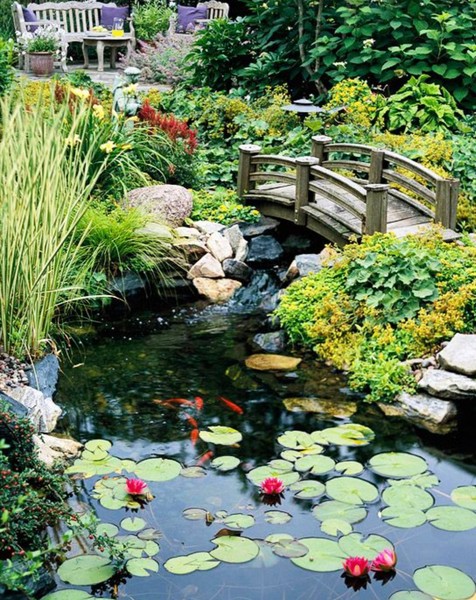 Flooding in clay garden - ideas to manage it