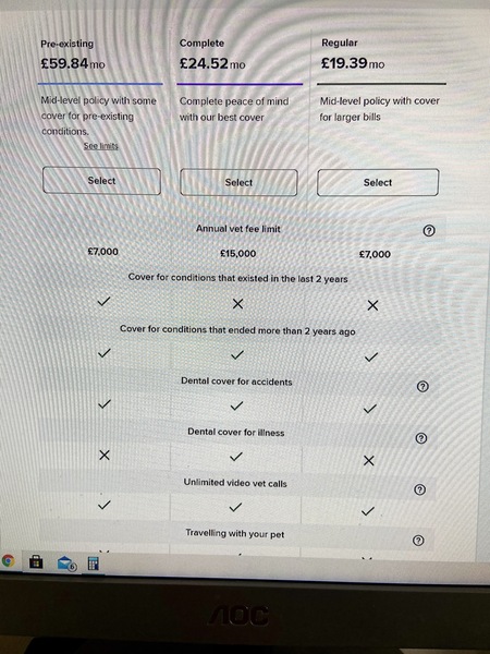 How much is your cat’s insurance?
