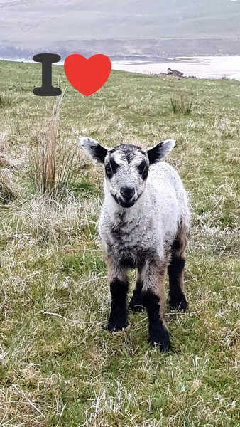 Week 5 - Leaving Lockdown Low Carb Bootcamp