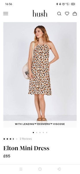 Animal print and thoughts on this dress (photo)