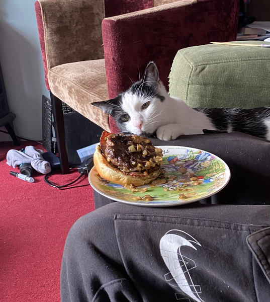 Poor starving Puck REALLY wants some of DS2's burger...