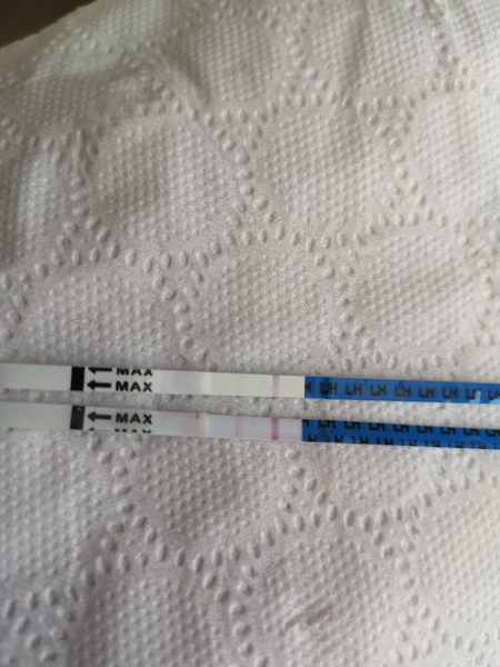 Trying for baby number 3