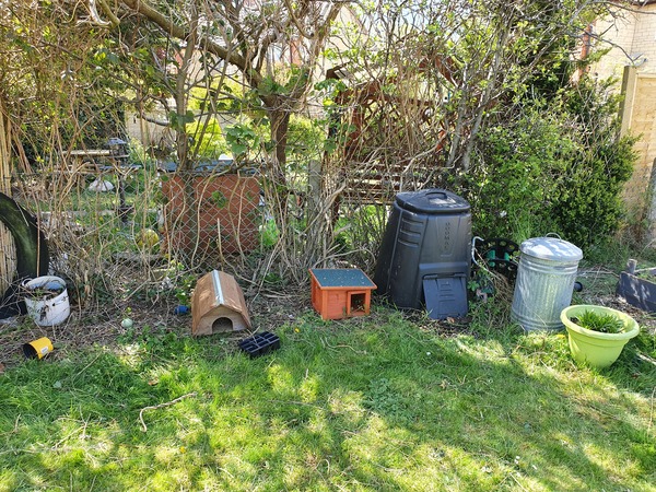 Plants for wildlife area in shade?
