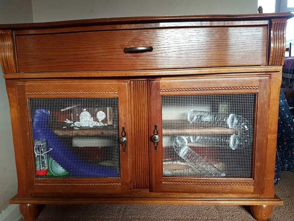 Hamster suddenly going mental!