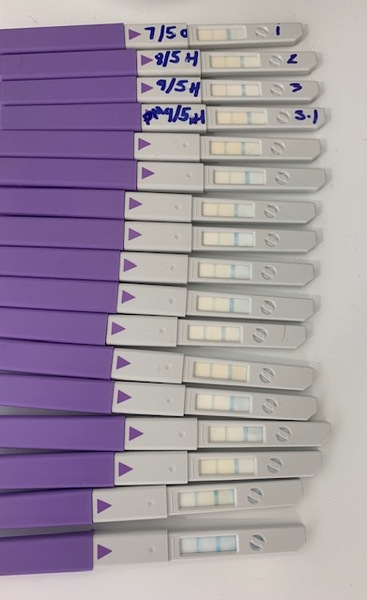 Help with Clear Blue Advance OPK Please!