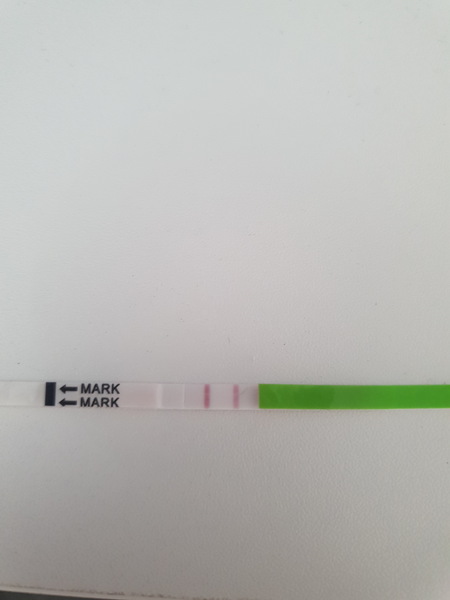 Positive opk?