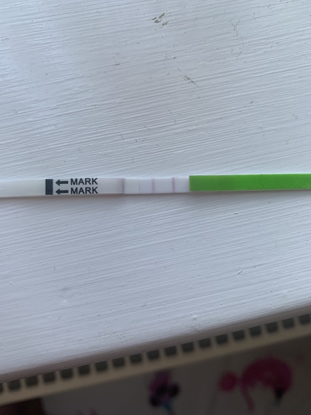 Ovulation late?? Negative OPK?