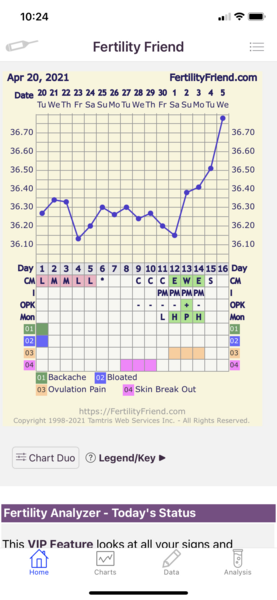 Trying to conceive baby No 1 over 40