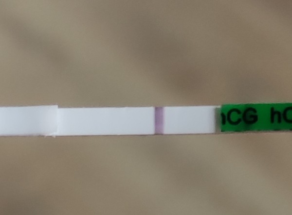 May 2021 TTC Bus :-) Thread 2