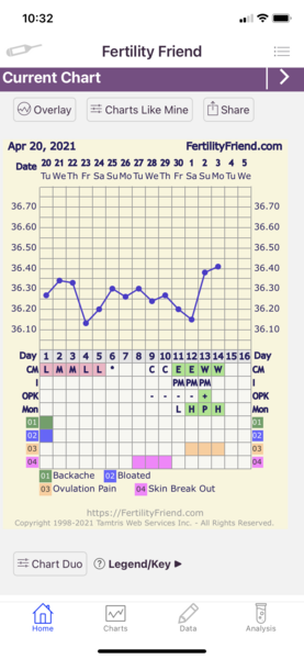 Trying to conceive baby No 1 over 40