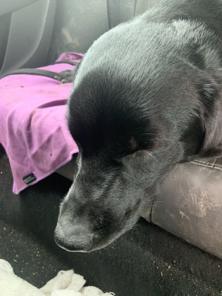 Knit, Crochet and Natter 5 - the roadmap to MORE YARN!