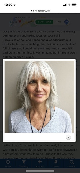 Hair.  With pic.