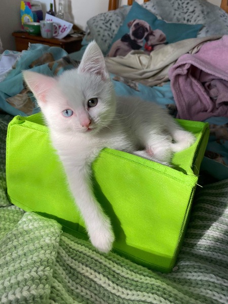 ADs shelter in The Sleeping Swans and have a group hug