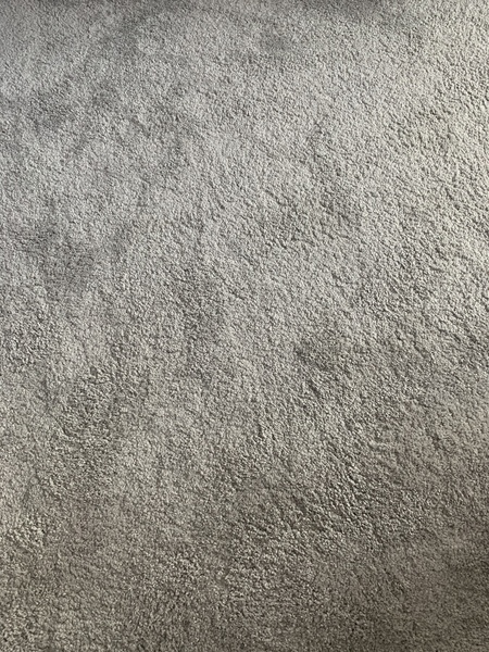 Carpet option! What to choose