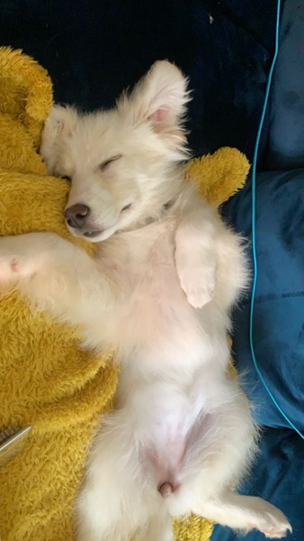 Really pissed off at DP