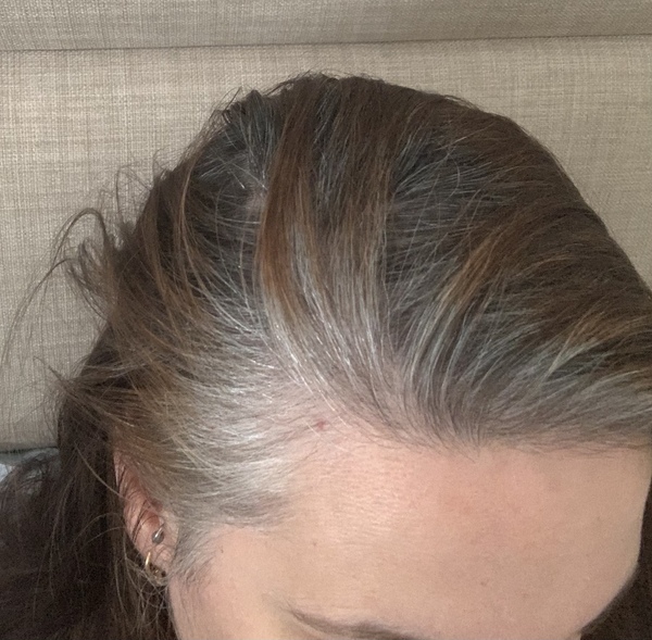 Advice please - dyeing my greying hair grey (with pic)