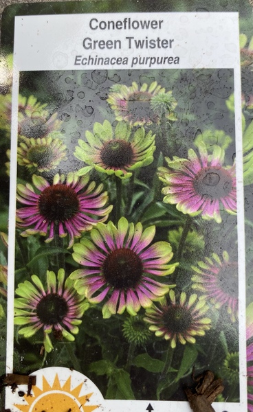 One project a day- 2nd thread!