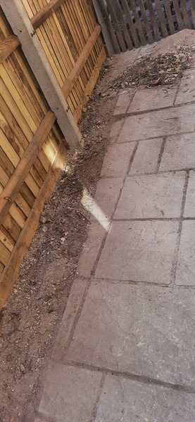 Reusing patio slabs & laying directly onto poured concrete path