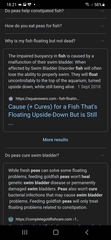 Any fish experts here please? I don't know what to do.