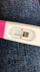 Pregnancy test