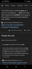 Any fish experts here please? I don't know what to do.