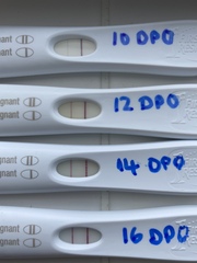 Trying to conceive baby No 1 over 40