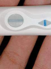 Pregnancy