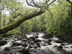 Any Witches Here? Part 14.