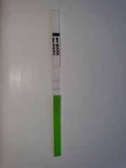 Positive opk?
